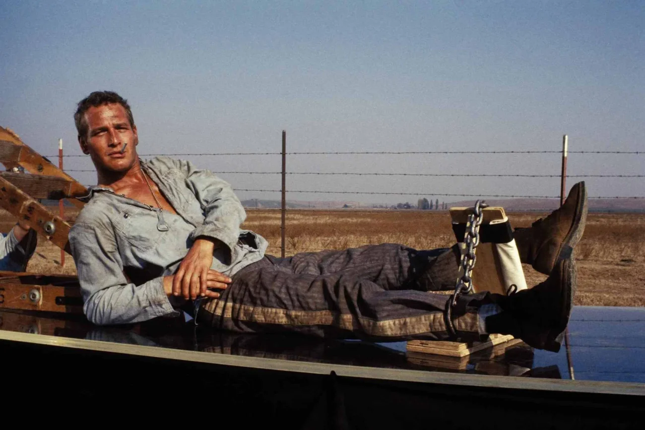 Cover Image for Cool Hand Luke